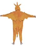 charizard onesie mens